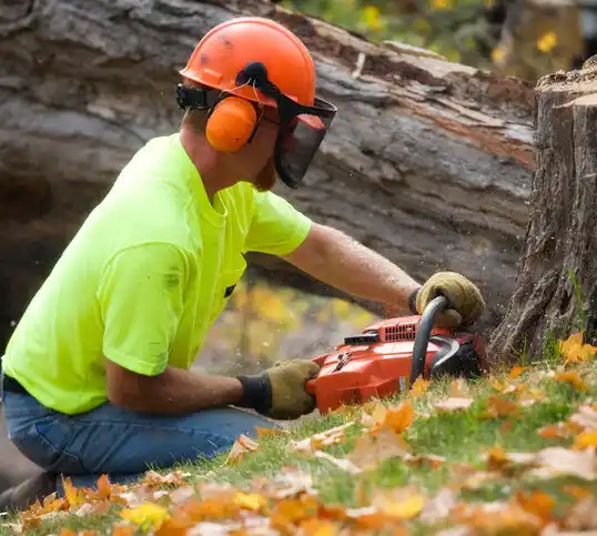 tree services Oriskany